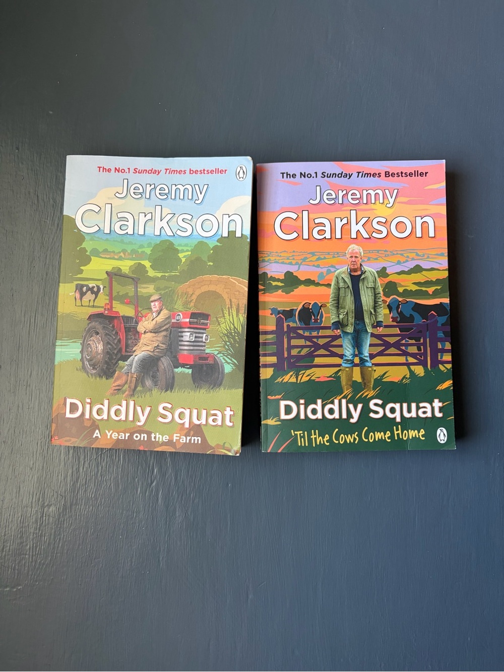 Jeremy Clarkson Diddly Squat Books 1 & 2 — Used, excellent condition